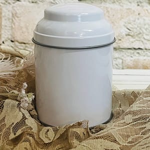 theepot wit